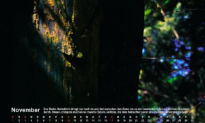 Pecher-Fotokunstkalender 2024