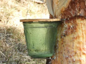 Pechhäferl aus Glas