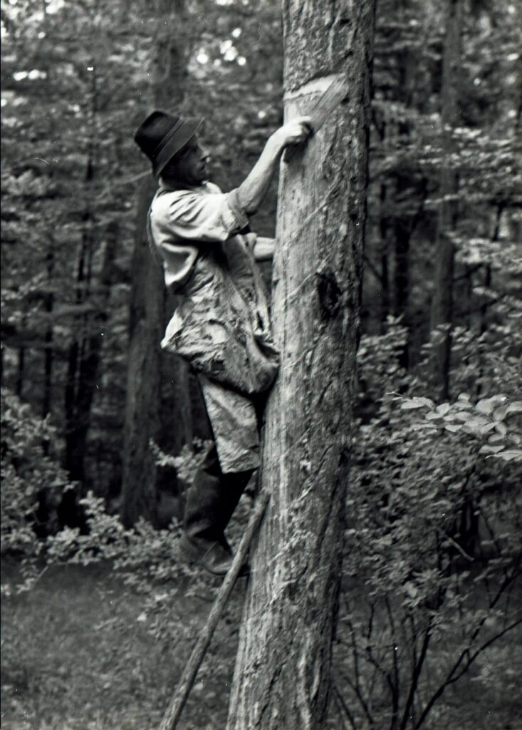 Beim einsetzen der Leitscharten