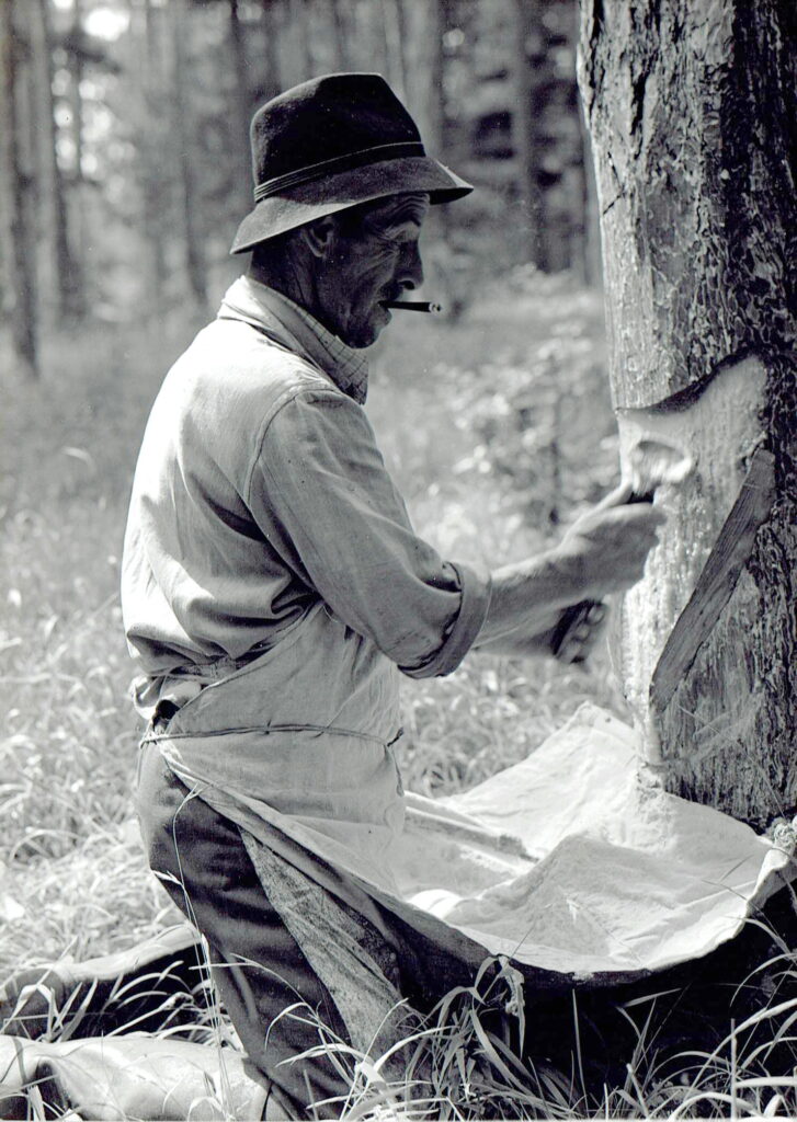 JHofer beim Pechscherren in das Scherrpechfiata