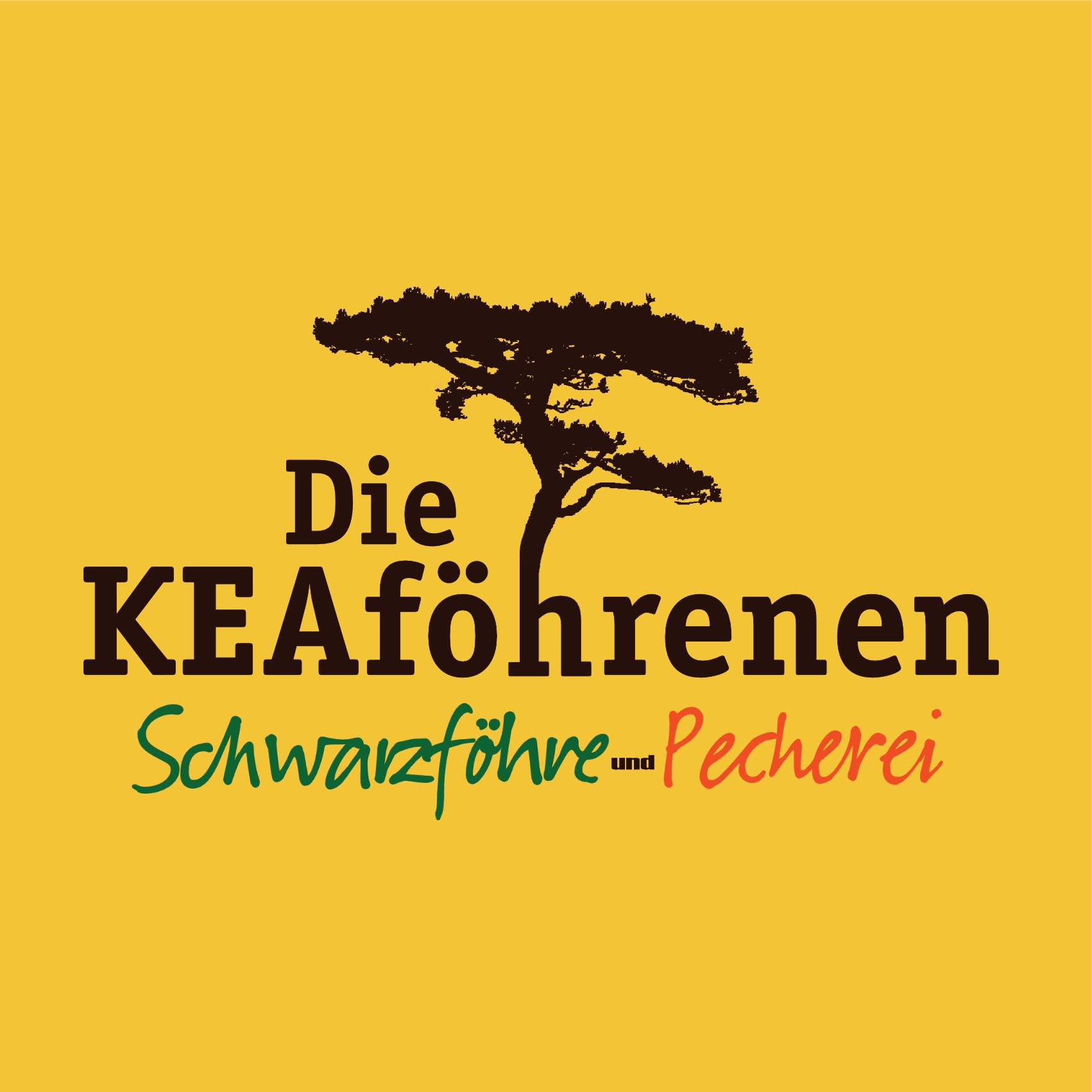 Die KEAföhrenen Schwarzföhre-Pecherei