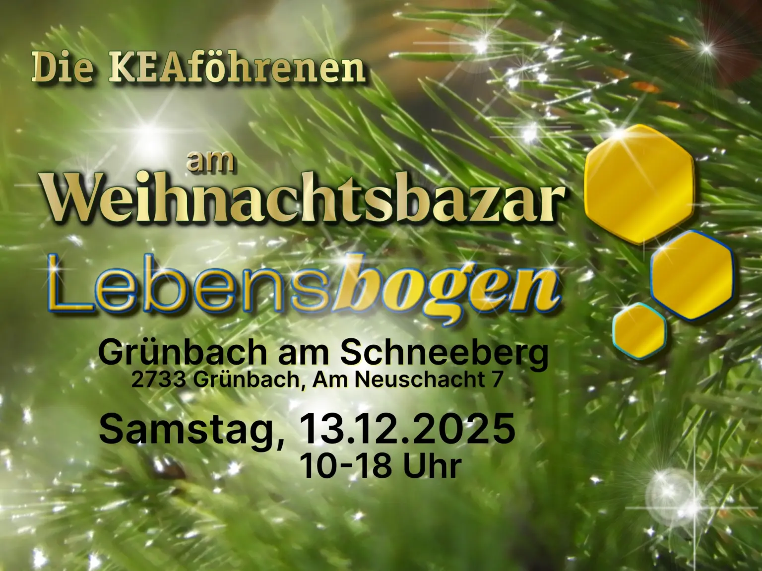 Weihnachtsbazar Lebensbogen 2025 Weihnachtsbazar im Lebensbogen in Grünbach a,m 13.12.2025 von 10-18 Uhr