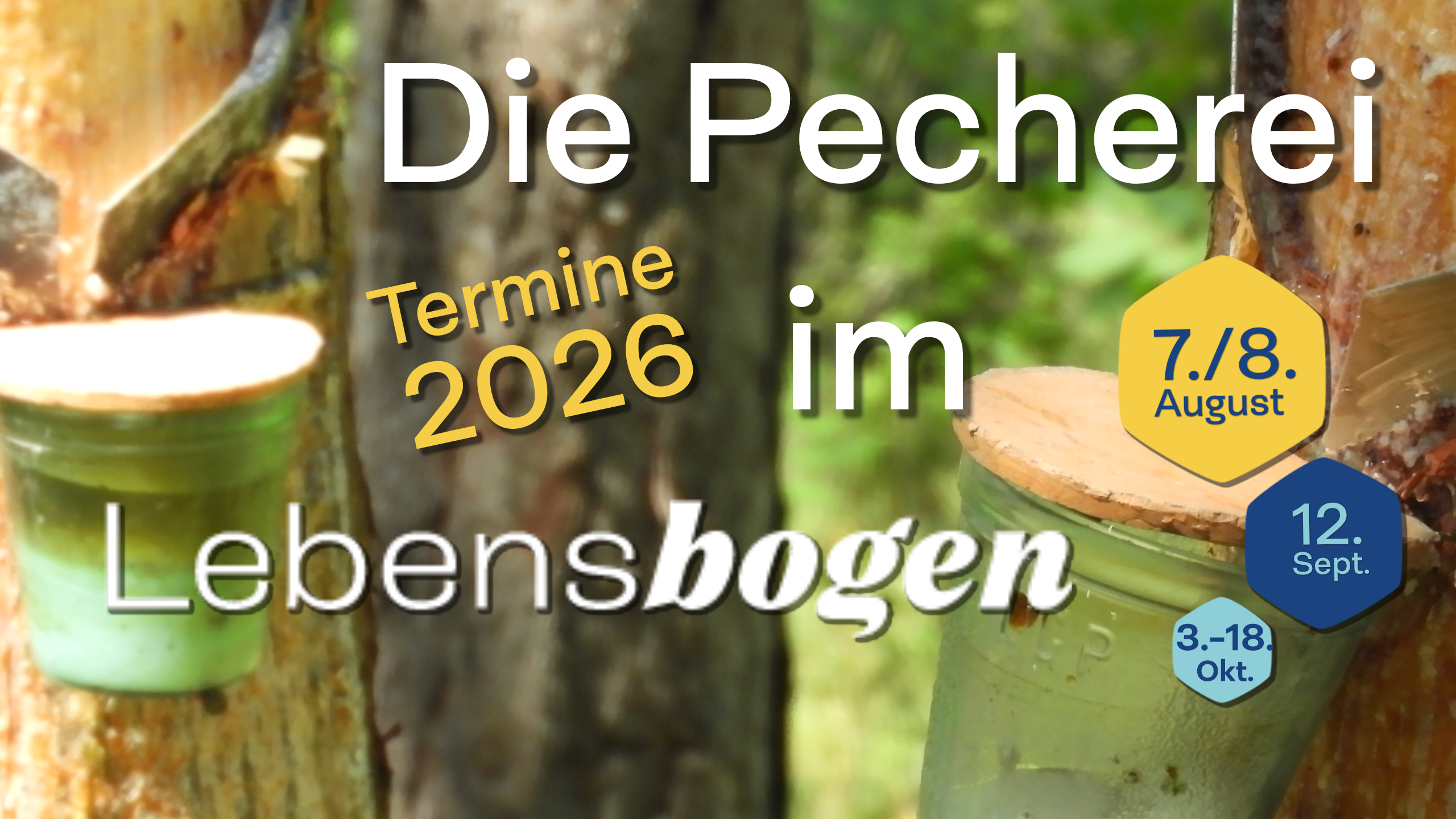 Pecherei im Lebensbogen 2026 Pecherei im Lebensbogen 2026: 7./8. August, 12. September, 3.-18. Oktober
