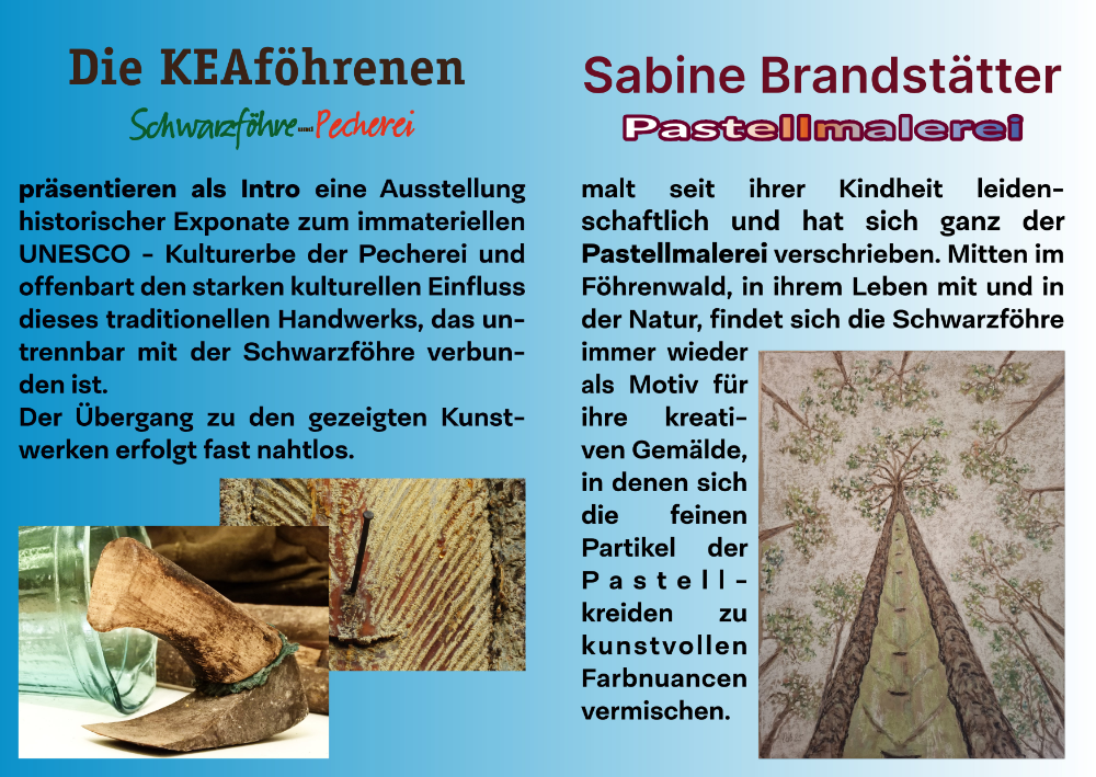 1 Folder Foehrenflug_2