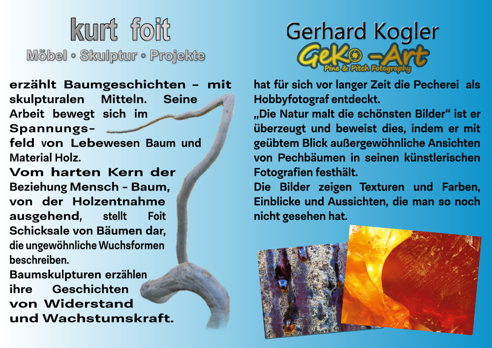1 Folder Foehrenflug_3