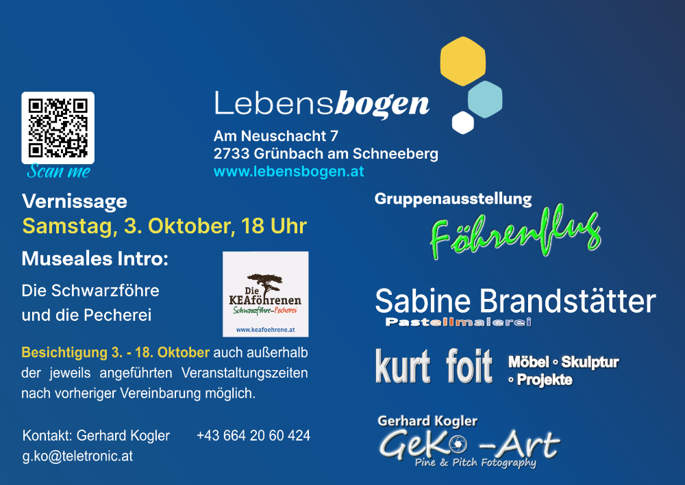 1 Folder Foehrenflug_4