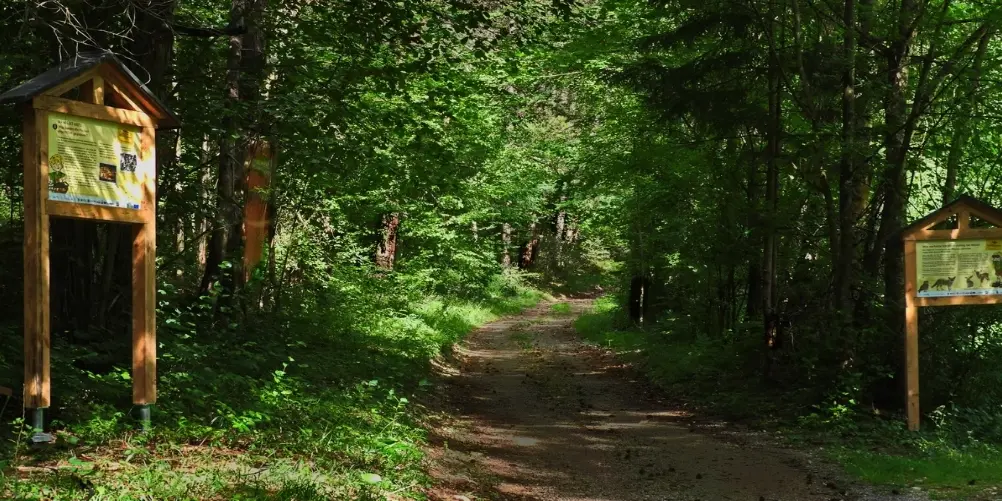 Themenwege zur Pecherei